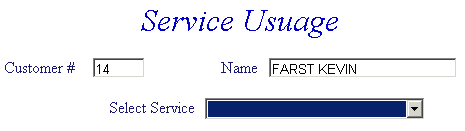 Service usage example screen